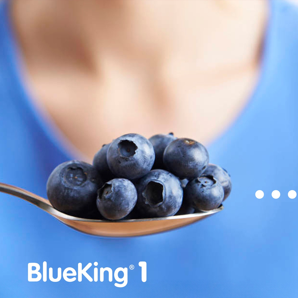 Pack 3 Blueking 1 Arándano X 300 Comprimidos Masticables