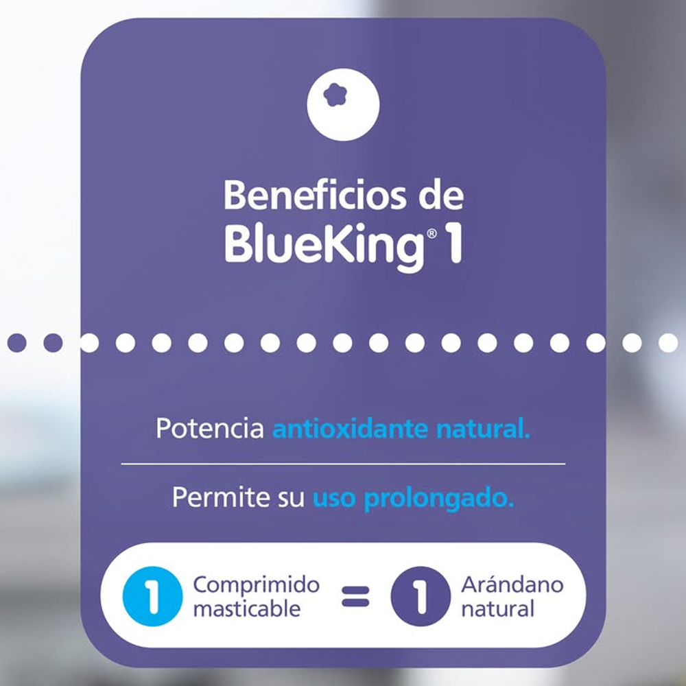 Pack 3 Blueking 1 Arándano X 300 Comprimidos Masticables