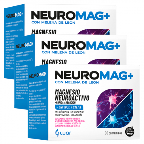 Pack 3 Neuromag+ Magnesio Neuroactivo Con Melena De León