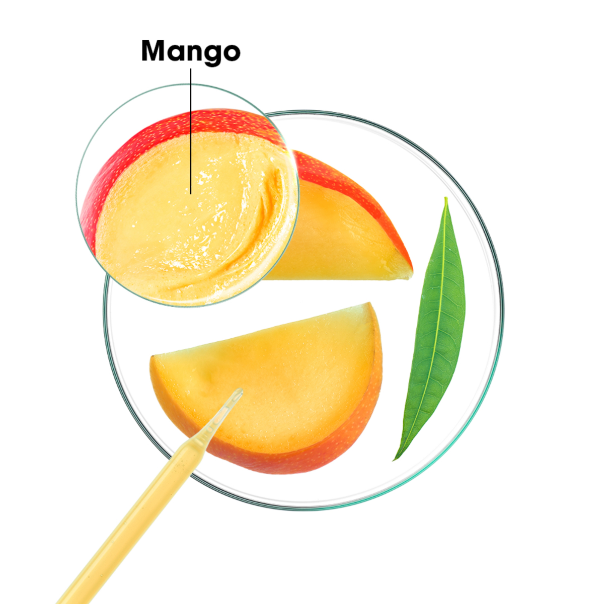 Klorane Mango Shampoo Para Cabello Seco X 200ml