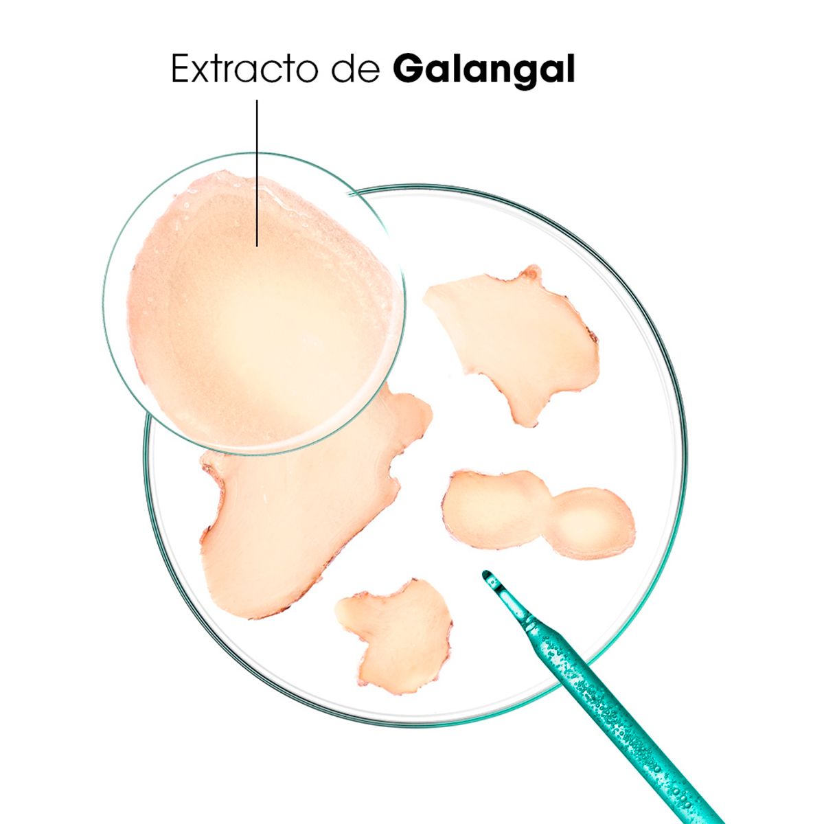 Klorane Galanga Anticaspa Tratamiento Antipicor